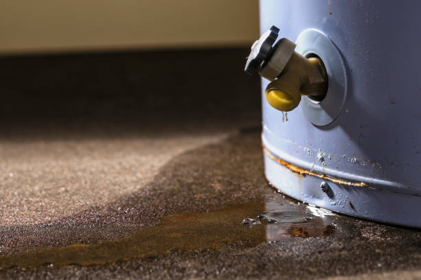 Professional Water damage restoration in Cooper City, FL