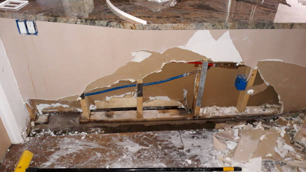 Best Carpet water damage restoration  in Cooper City, FL