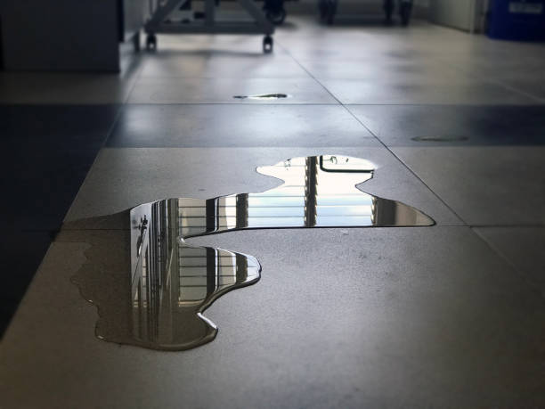Best Water damage restoration near me  in Cooper City, FL