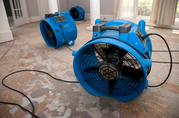Best 24/7 water damage repair  in Cooper City, FL