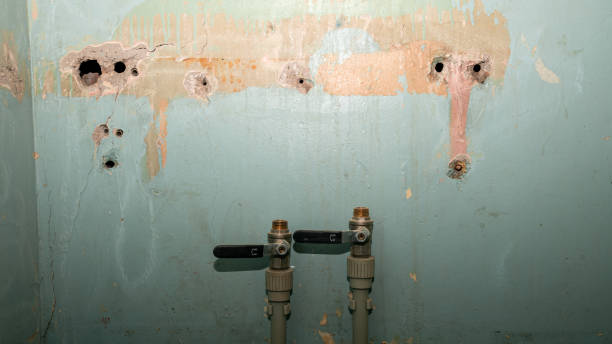 Best Mold removal after water damage  in Cooper City, FL