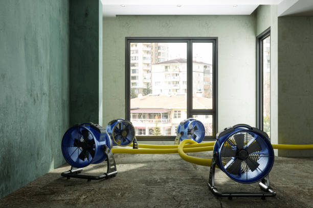Best Commercial water damage restoration  in Cooper City, FL