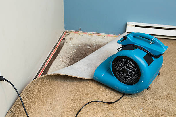 Best Residential water damage restoration  in Cooper City, FL